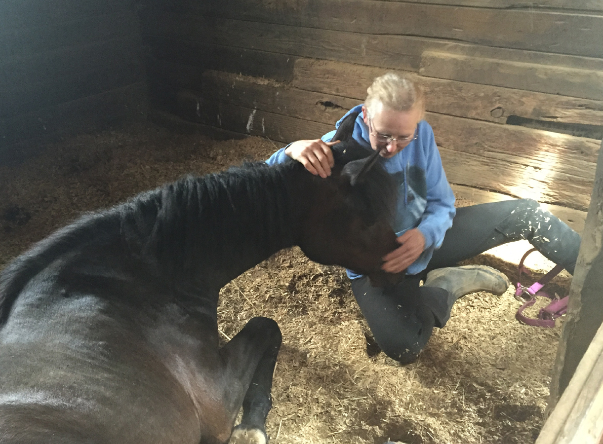 Colleen sitting in stall with yearling filly