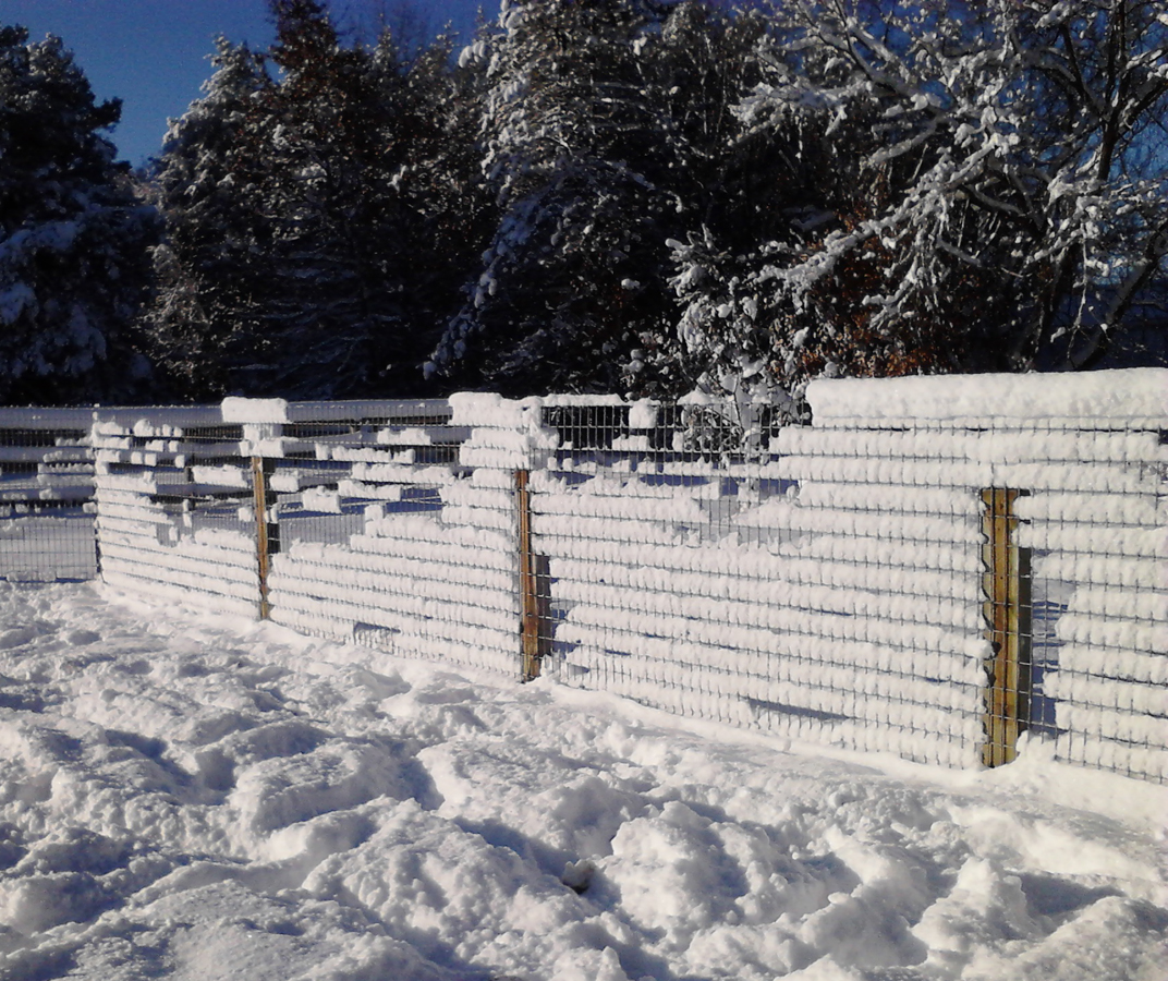 first snow on new fence