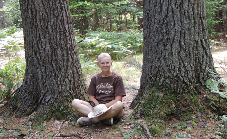 Colleen Grayling Trees